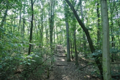 Hundeauslaufgebiet_Frohnau-3