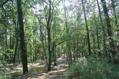 Hundeauslaufgebiet_Frohnau-5