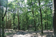 Hundeauslaufgebiet_Frohnau-7