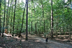 Hundeauslaufgebiet_Frohnau-9