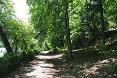 Hundeauslaufgebiet-Grunewald-1