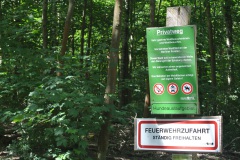 Hundeauslaufgebiet-Grunewald-3