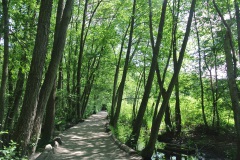 Hundeauslaufgebiet-Grunewald-5