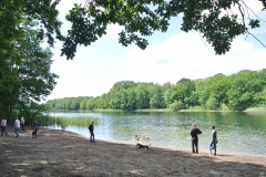 Hundeauslaufgebiet-Grunewald-7