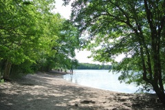 Hundeauslaufgebiet-Grunewald-9