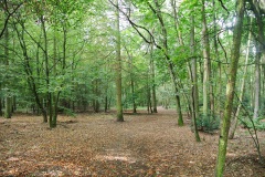 Hundeauslaufgebiet-Hakenfelde-WalkYourDog-5