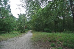 Hundeauslaufgebiet-Hakenfelde-WalkYourDog-7