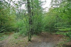 Hundeauslaufgebiet-Hakenfelde-WalkYourDog-9