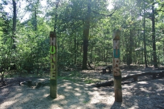 Hundeauslaufgebiet_Jungfernheide_3