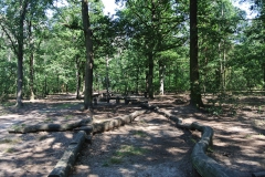 Hundeauslaufgebiet_Jungfernheide_4