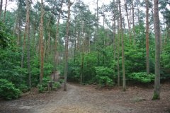 Hundeauslaufgebiet-Kladow-WalkYourDog-3