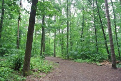 Hundeauslaufgebiet-Kladow-WalkYourDog-5