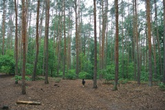 Hundeauslaufgebiet-Kladow-WalkYourDog-7