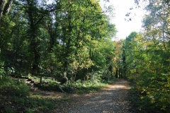 Hundeauslaufgebiet_Pichelswerder-4