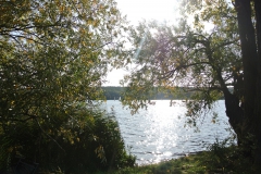 Hundeauslaufgebiet_Pichelswerder-5