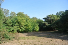 Hundeauslaufgebiet_Pichelswerder-6