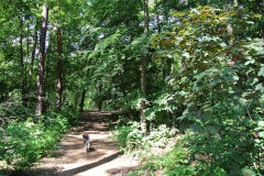 Hundeauslaufgebiet-Wannsee-Düppel-WalkYourDog-2