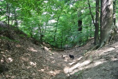 Hundeauslaufgebiet-Wannsee-Düppel-WalkYourDog-4