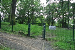 Hundefreilauf-Spandauer-Damm-WalkYourDog-1