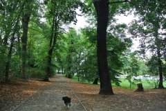 Hundefreilauf-Spandauer-Damm-WalkYourDog-10