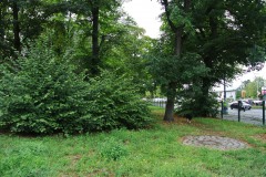 Hundefreilauf-Spandauer-Damm-WalkYourDog-3