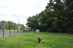 Hundefreilauf-Spandauer-Damm-WalkYourDog-4