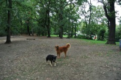 Hundefreilauf-Spandauer-Damm-WalkYourDog-6