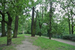 Hundefreilauf-Spandauer-Damm-WalkYourDog-7