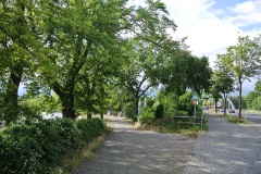 Hundeauslauf-Tegeler-Weg-WalkYourDog-1