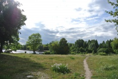 Hundeauslauf-Tegeler-Weg-WalkYourDog-3