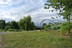 Hundeauslauf-Tegeler-Weg-WalkYourDog-4