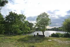 Hundeauslauf-Tegeler-Weg-WalkYourDog-5