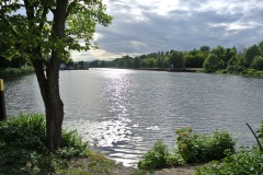 Hundeauslauf-Tegeler-Weg-WalkYourDog-6