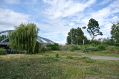 Hundeauslauf-Tegeler-Weg-WalkYourDog-7