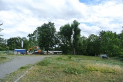 Hundeauslauf-Tegeler-Weg-WalkYourDog-8