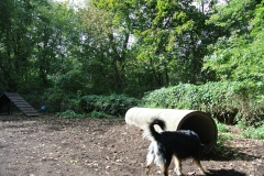 Hundeplatz_Luebars_6
