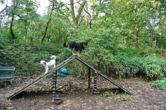 Hundeplatz_Luebars_7