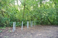 Hundeplatz_Luebars_8