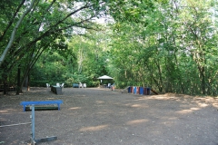 Hundegarten_Moabit_3