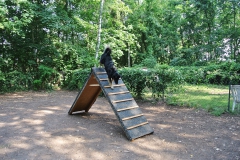 Hundegarten_Moabit_5