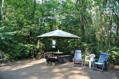Hundegarten_Moabit_9