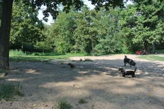 Hundepark_Hasenheide_4