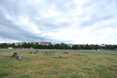 Hundeplatz_Tempelhofer-Feld-8