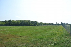 Hundeplatz_Tempelhofer-Feld-5