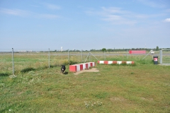 Hundeplatz_Tempelhofer-Feld-6
