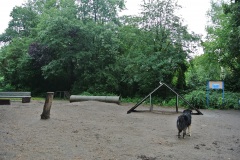 Hundeplatz-am-Schäfersee-WalkYourDog-4