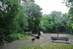 Hundeplatz-am-Schäfersee-WalkYourDog-6