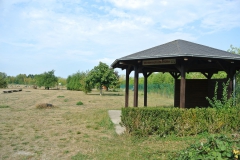Hundeplatz_am_Tierheim_Berlin_2