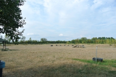 Hundeplatz_am_Tierheim_Berlin_4