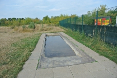 Hundeplatz_am_Tierheim_Berlin_5